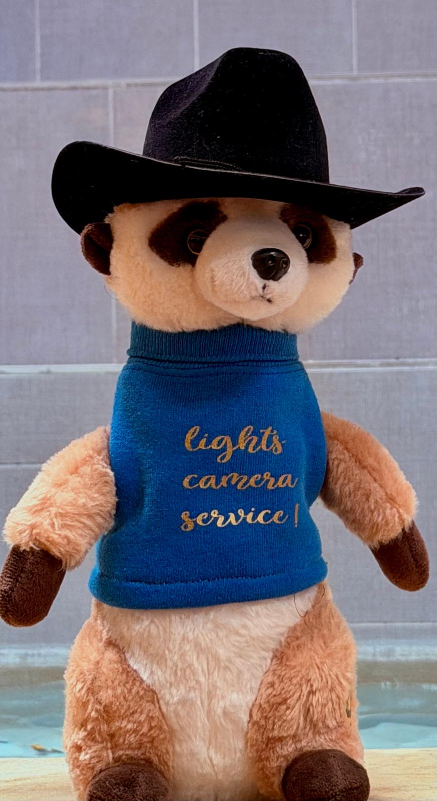 District Mascot